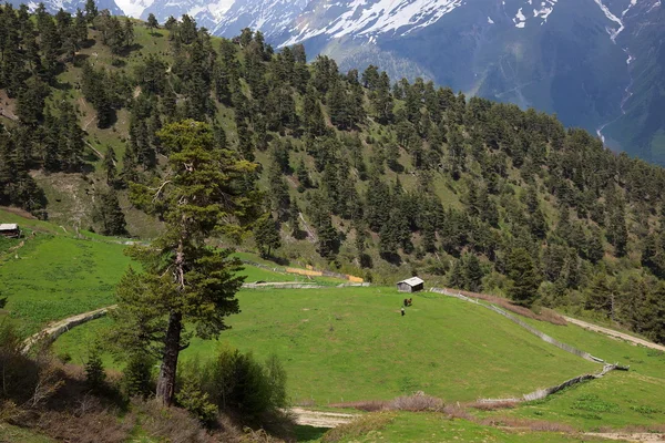 Paysage de montagnes près du village de Mestia. Haute Svaneti. Géorgie — Photo