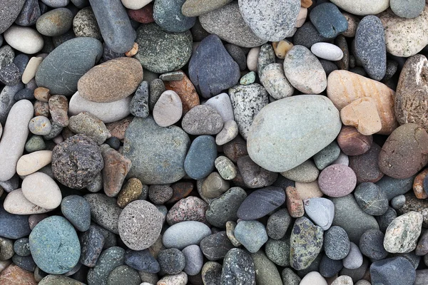 Pebbles on the beach. Batumi. Georgia. — Stock Photo, Image