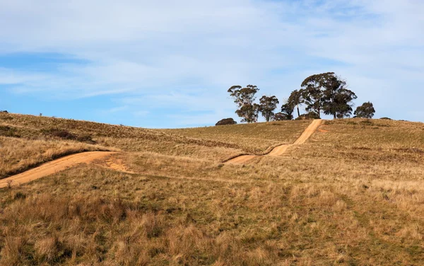 Estrada rural montanhosa. Tablelands perto de Oberon. Nova Gales do Sul. Austrália . — Fotografia de Stock