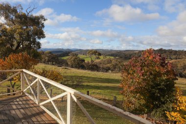 oberon yakınındaki kırsal tablelands sonbahar renkleri. NSW. Avustralya.