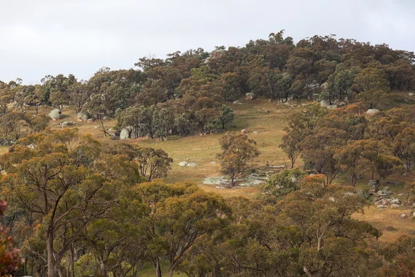 Uma paisagem rural perto de Oberon. Nova Gales do Sul. Austrália . — Fotografia de Stock