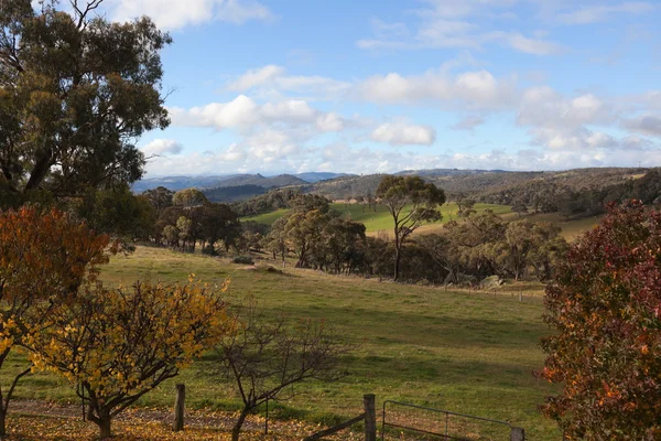 Herfst kleuren in platteland tablelands in de buurt van oberon. NSW. Australië. — Stockfoto