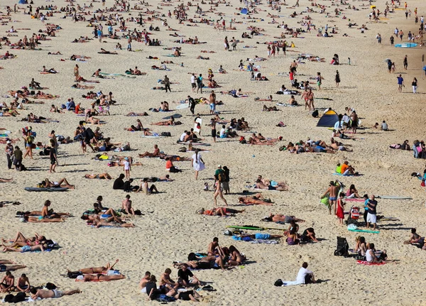 Soldyrkare på berömda bondi beach — Stockfoto