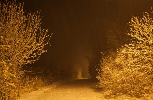 夜に大雪。モスクワ地域。ロシア. — ストック写真
