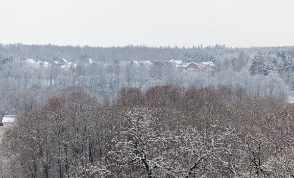 Bosque y pueblo de vacaciones en la distancia después de fuertes nevadas. Región de Moscú. Rusia . — Foto de Stock
