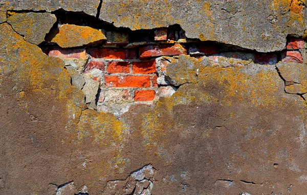 Crack in the wall — Stock Photo, Image