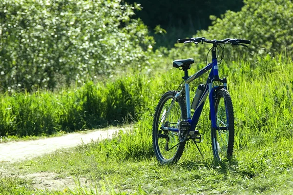 Bicyclise i ett gräs — Stockfoto