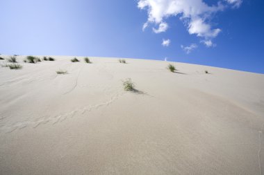 Dune. Fotoğraf arka planı için.