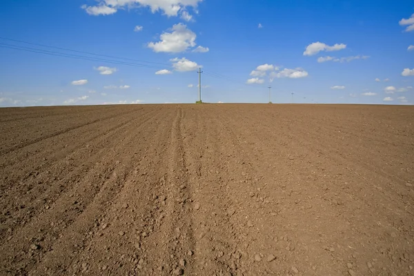 stock image Plowed field