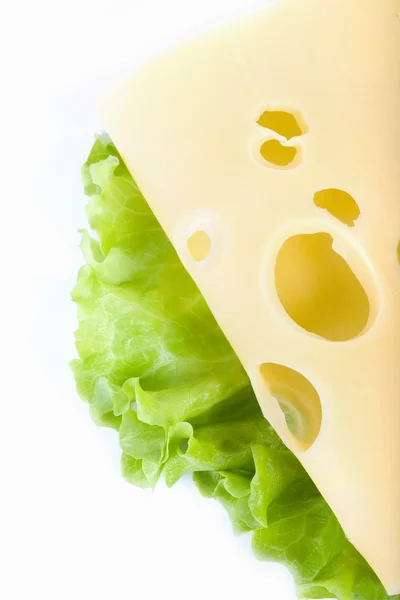 Käse und Salat — Stockfoto
