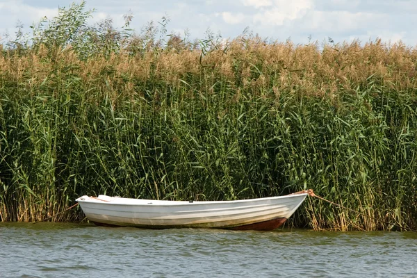 The boat in a cane — Stock Photo, Image