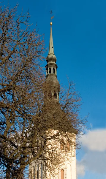 Kostel svatého Mikuláše. Tallinn, Estonsko. — Stock fotografie