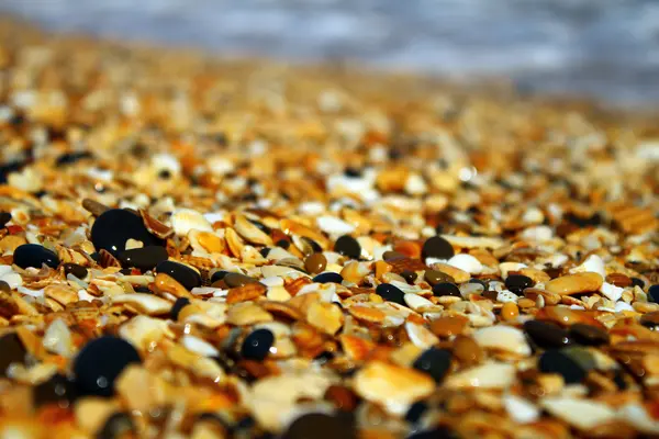 Caspian Sea beach — Stock Photo, Image