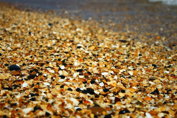 stock image Sea beach