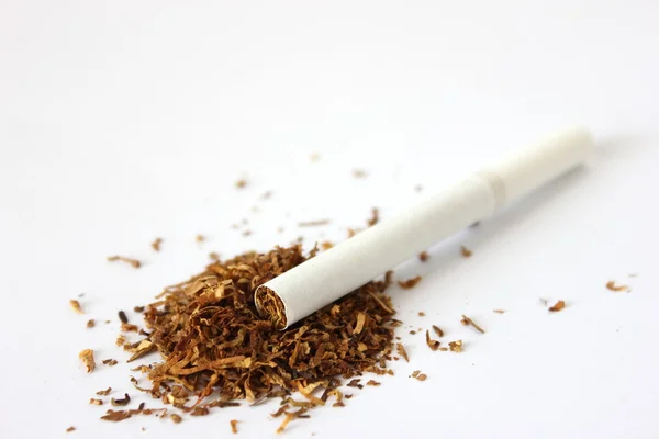 stock image Cigarette with Pile of Tobacco