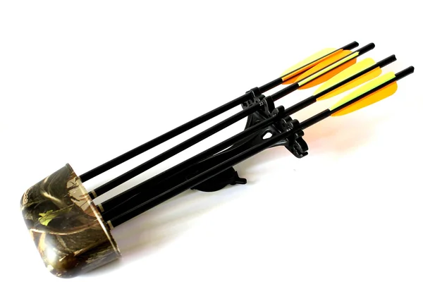 Quiver with Arrows — Stock Photo, Image