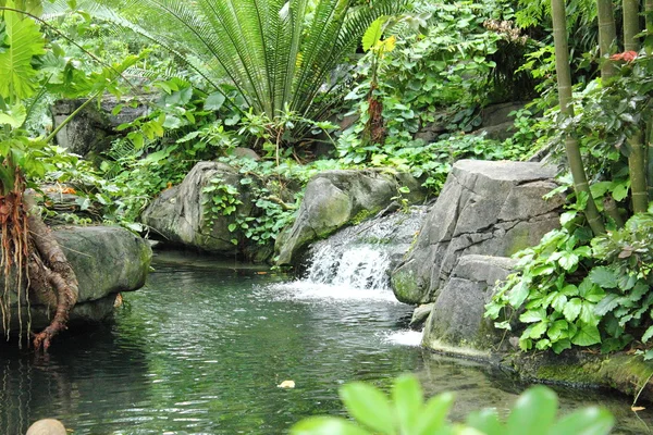 stock image Tropical Waterfall