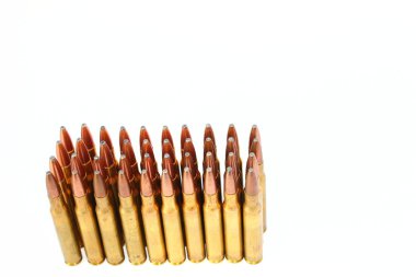 .306 kalibre tüfek cephane