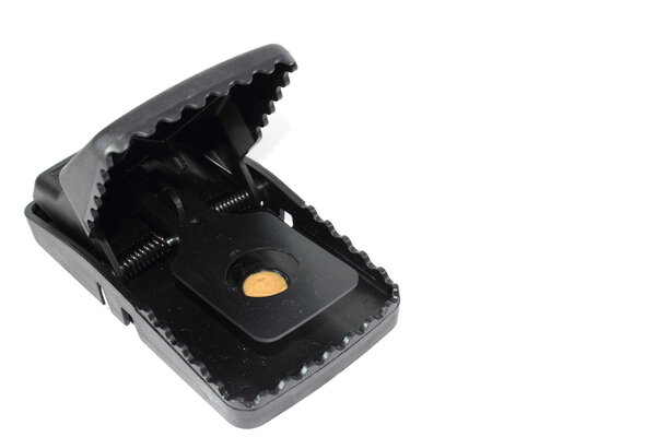 Установить ловушку
