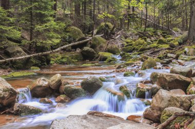 Wild stream Szklarka in Giant Mountain in Poland clipart