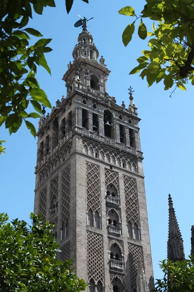 Kathedraal van sevilla in Spanje, giralda met klokken — Stockfoto