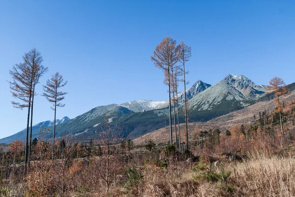 Tatras em Eslováquia, Lomnica peak — Fotografia de Stock