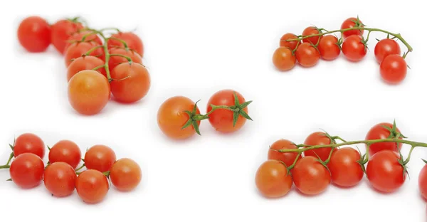 Conjunto de tomate cereja — Fotografia de Stock