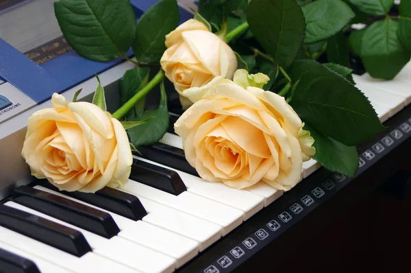 Three roses on a piano — Stock Photo, Image