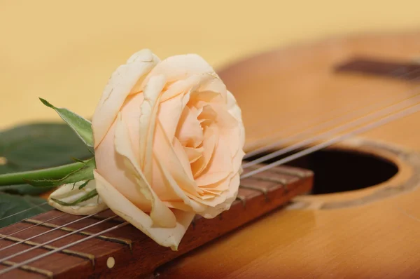 Rose on a guitar — Stock Photo, Image