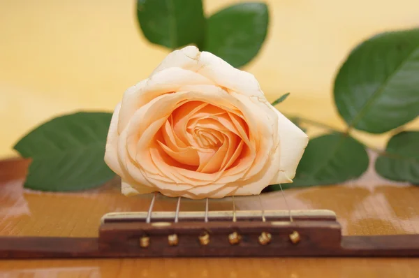 Rosa em uma guitarra — Fotografia de Stock