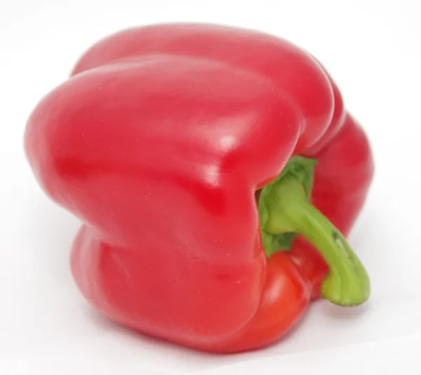 Röd paprika — Stockfoto