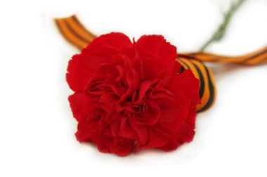 The red carnation and St. George's Ribbon clipart