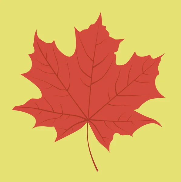 Red maple leaf. — Stock Vector