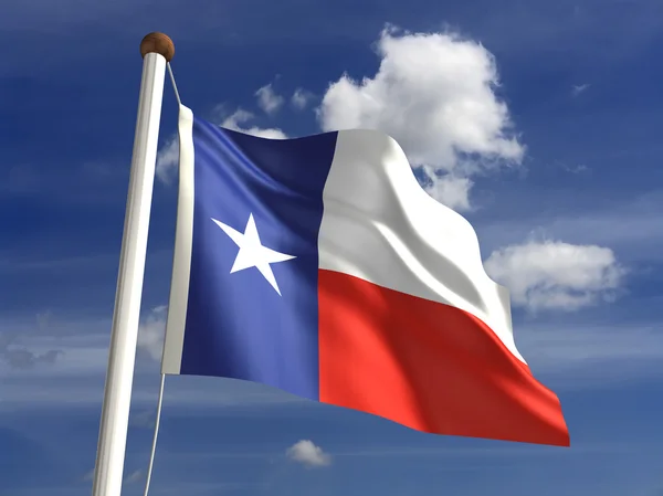 Texas bayrakla (kırpma yolu) — Stok fotoğraf