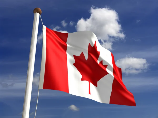 Прапор Канади (з відсічним контуром) — стокове фото