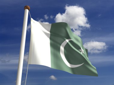 Pakistan flag (with clipping path) clipart