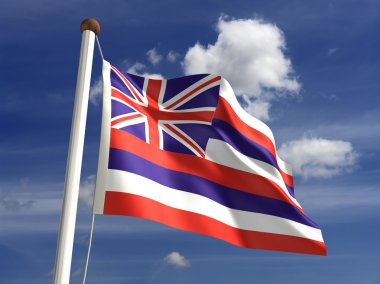 Hawaii flag (with clipping path) clipart