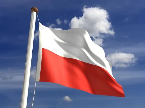Polonya bayrağı (ile kırpma yolu) — Stok fotoğraf