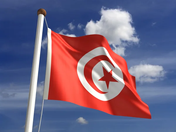 Bandeira da Tunísia (com caminho de recorte ) — Fotografia de Stock