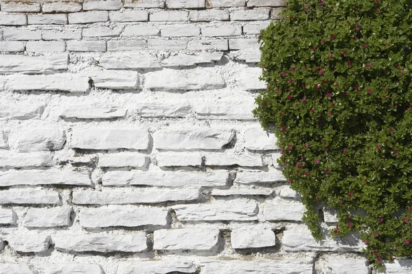 Mur en pierre blanche — Photo