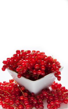 Redcurrants