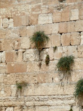 Kudüs'te Western wall