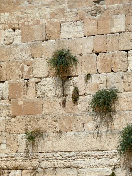 stock image Western Wall in Jerusalem