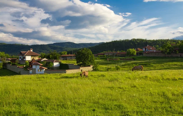 Balkanska village — Stockfoto