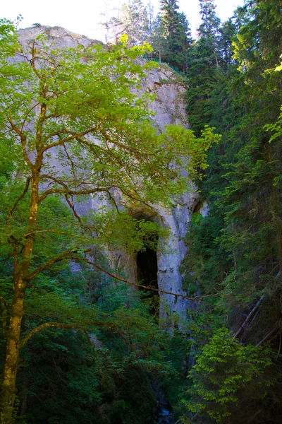 Smala grottan — Stockfoto