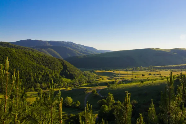 Копрившицкая зеленая долина — стоковое фото