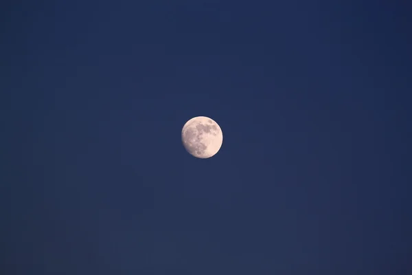 stock image Lunar is in evening sky