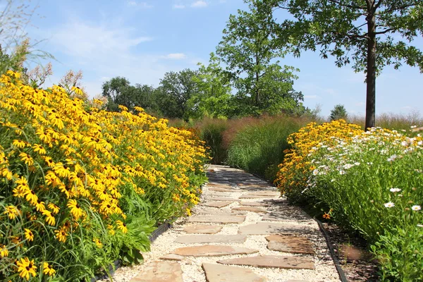 UNC-pad op een floral glade Stockafbeelding