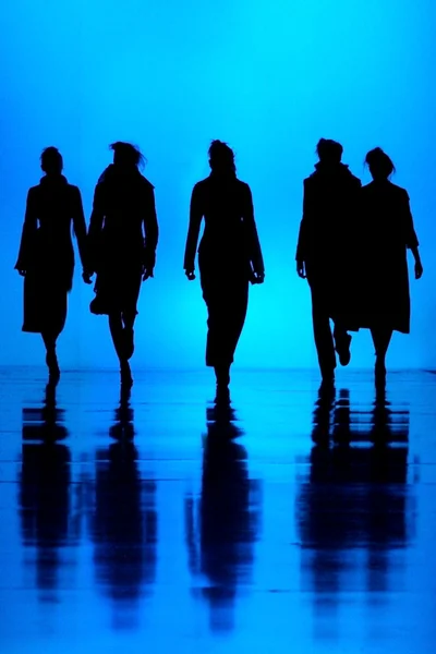 Women's fashion silhouettes — Stock Photo, Image
