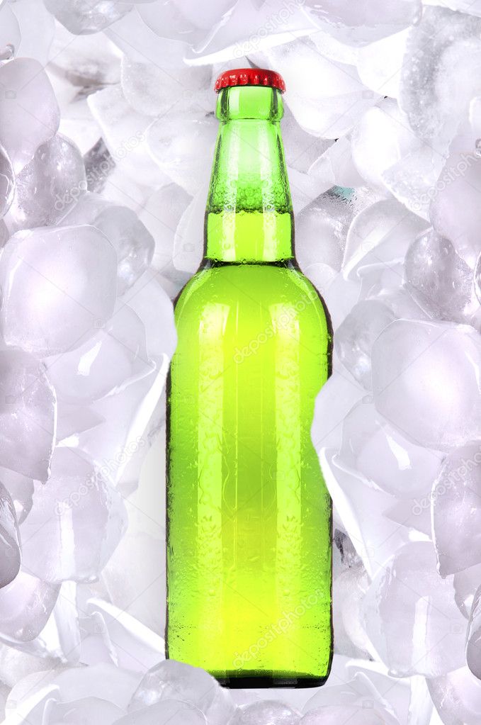 Bottle of beer is in ice